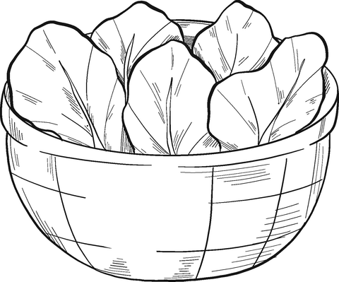 Bowl With Lettuce Coloring Page